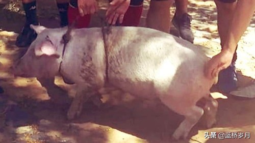 囚王小罗出狱完整版,小罗足球独造11球