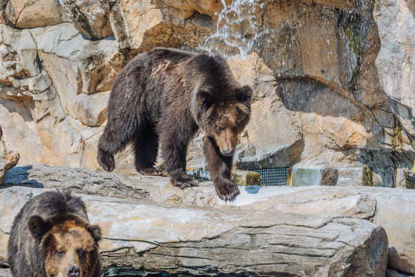 珠海长隆旅游攻略一天自由行,珠海长隆旅游攻略三天自由行