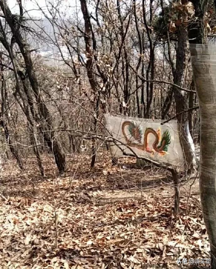 怎么判断男生直不直男,如何判断一个男生直不直