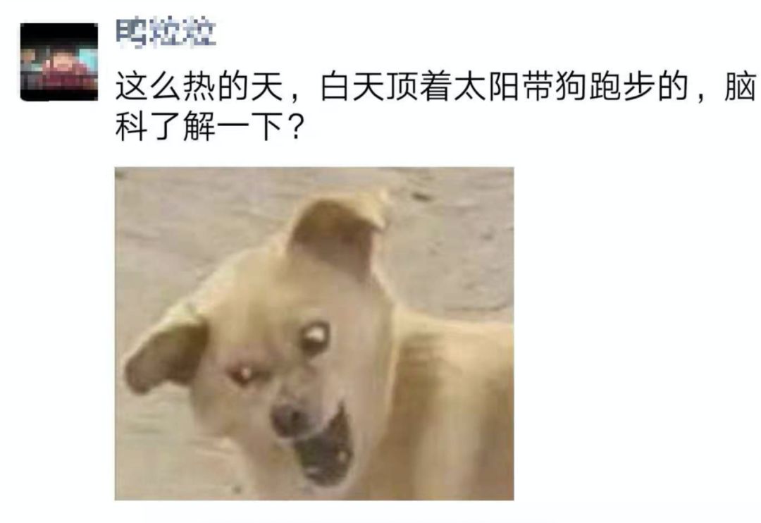 多少度狗狗会中暑,狗狗中暑打什么药