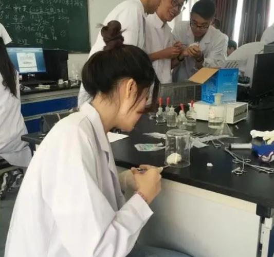 学医怎么选科室,学医如何选科