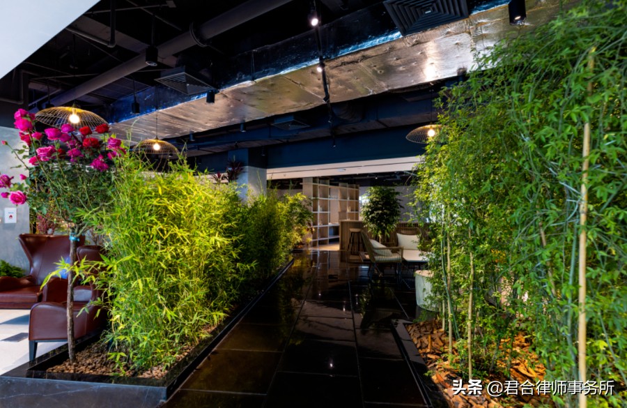 一家红圈律所的极致“凡尔赛”