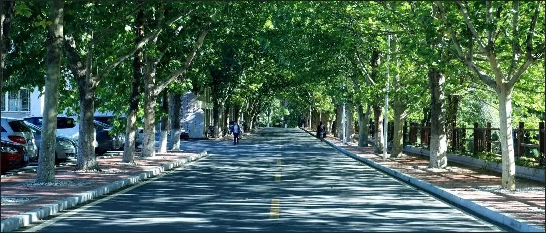 脱胎于哈工大，成长于风景优美的海滨城市——燕山大学