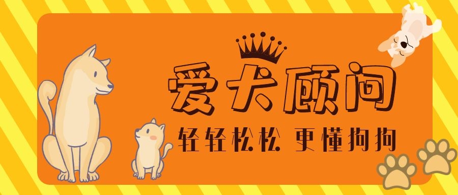 狗子很凶经常咬人怎么办,狗子经常打会记仇吗