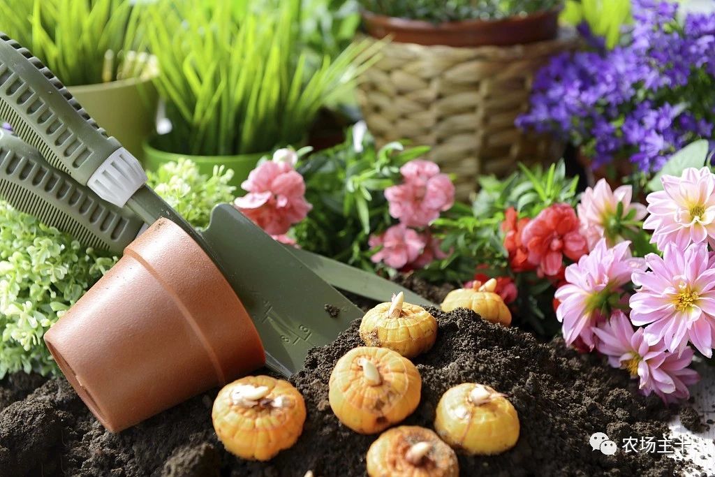 回农村小本创业,农村冷门小本创业生意