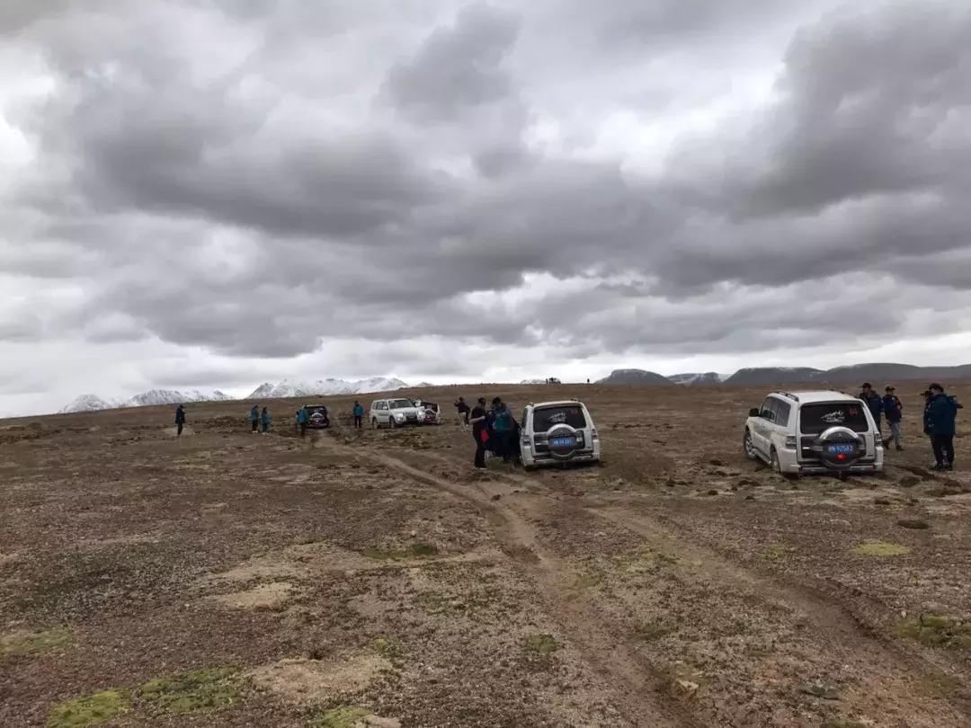 3.0t直列六缸硬派越野车型有哪些 (最便宜的3.0tv6越野车型)