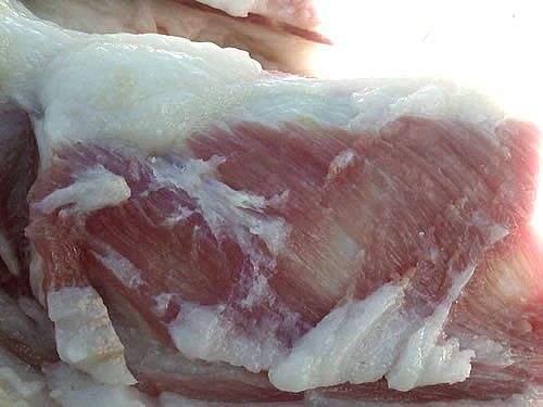 黑米黑芝麻一天吃多少可以黑发,黑米超级健康食物