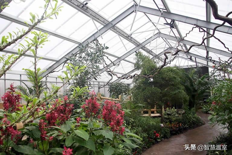 在这里玻璃温室和植物花卉才是标配，越来越受投资者的青睐