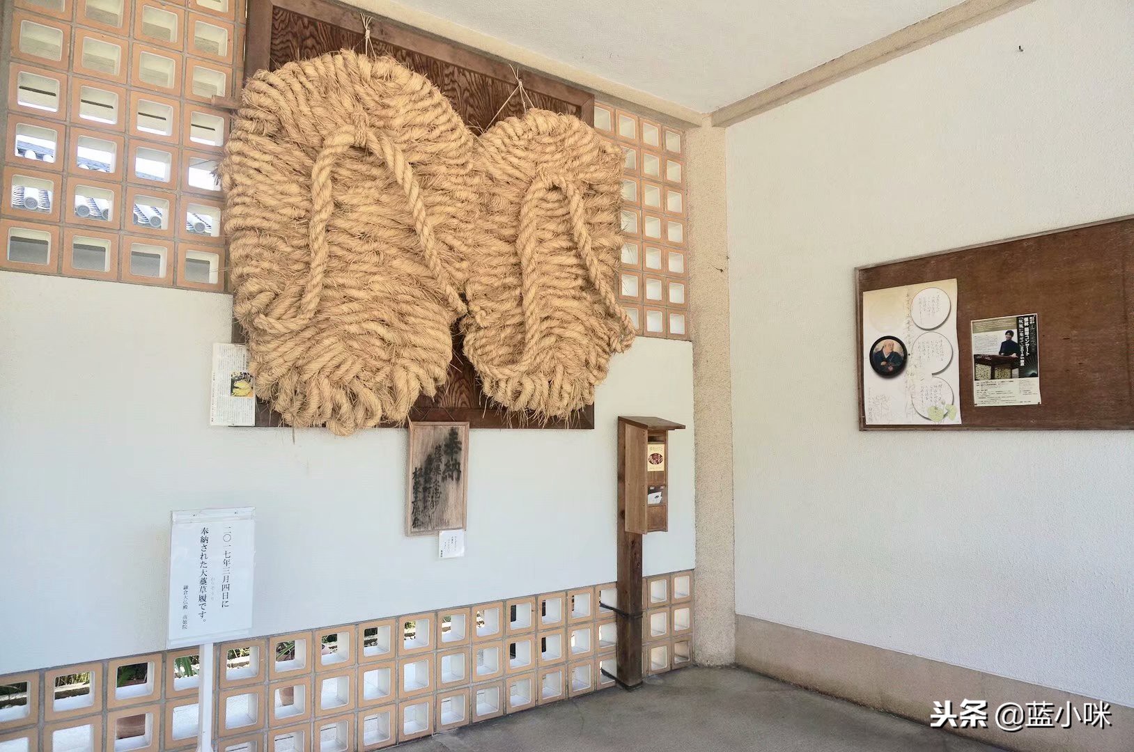 日本自由行7天看富士山,东京自由行攻略东京富士山自由行