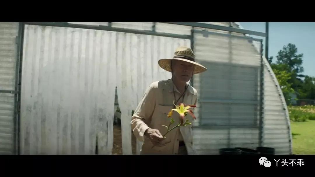 墨西哥贩毒故事,墨西哥往事解析