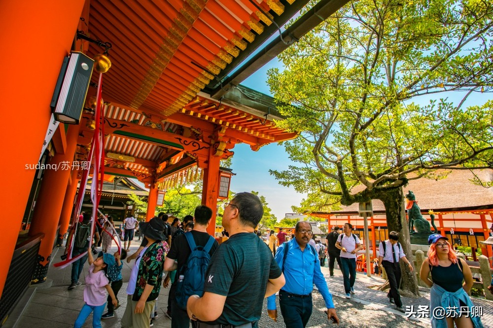 京都伏见稻荷神社可以爬一半吗,京都之旅