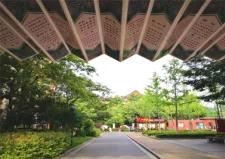 又双叒叕获奖啦,又双叒叕获奖合理吗