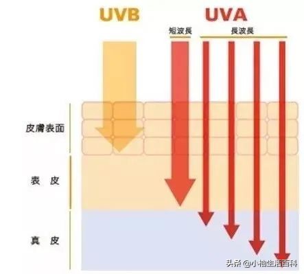 脸部暗沉痘印毛孔粗大怎么自救,毛孔粗大与痘印痘坑的自救指南