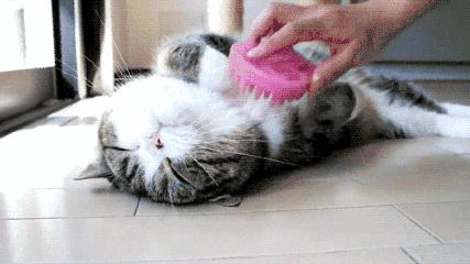 解压的方式很多人不能接受,这绝对是你想象不到的解压方式