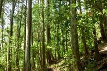 汪么屯人钱途门路多