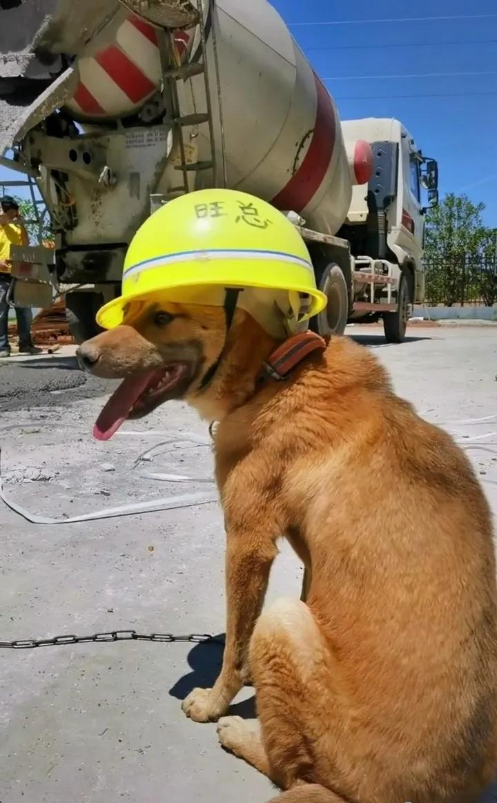 毕业南京工作,毕业在南京工作