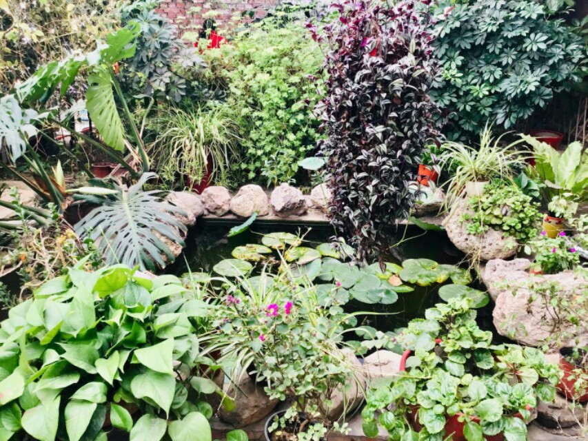 金色阳光幼儿园视频,金色阳光幼儿园有限公司