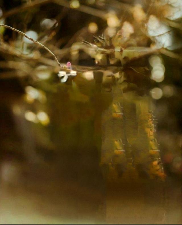 抠图以后如何美化边缘美图秀秀,如何用美图秀秀将抠图和新图结合