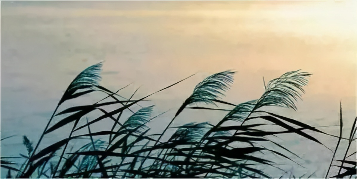 璇昏瘲涓嶅彲涓嶈璇楃粡,璇昏瘲鍏堣璇楃粡