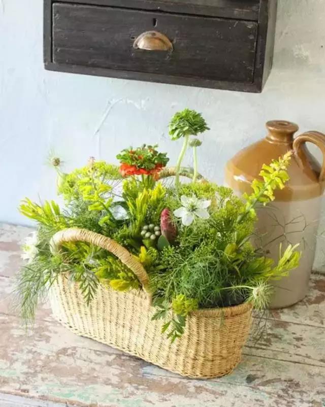 开一家有情怀赚钱的花店,全部积蓄开一家花店