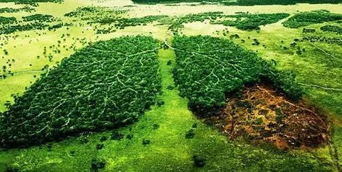 2018海外专家巡讲会走进徐州顶尖专家“把脉”肺癌精准治疗