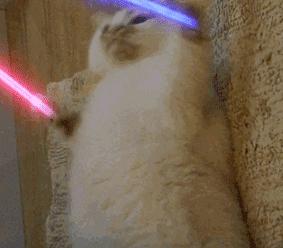 完了，物理所被「入侵」了...