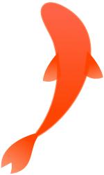 教你鲤鱼打挺,学一招鲤鱼打挺