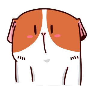 这101条养生保健谣言，你中招过多少？