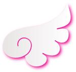 新西兰幼教移民,大龄新西兰留学移民