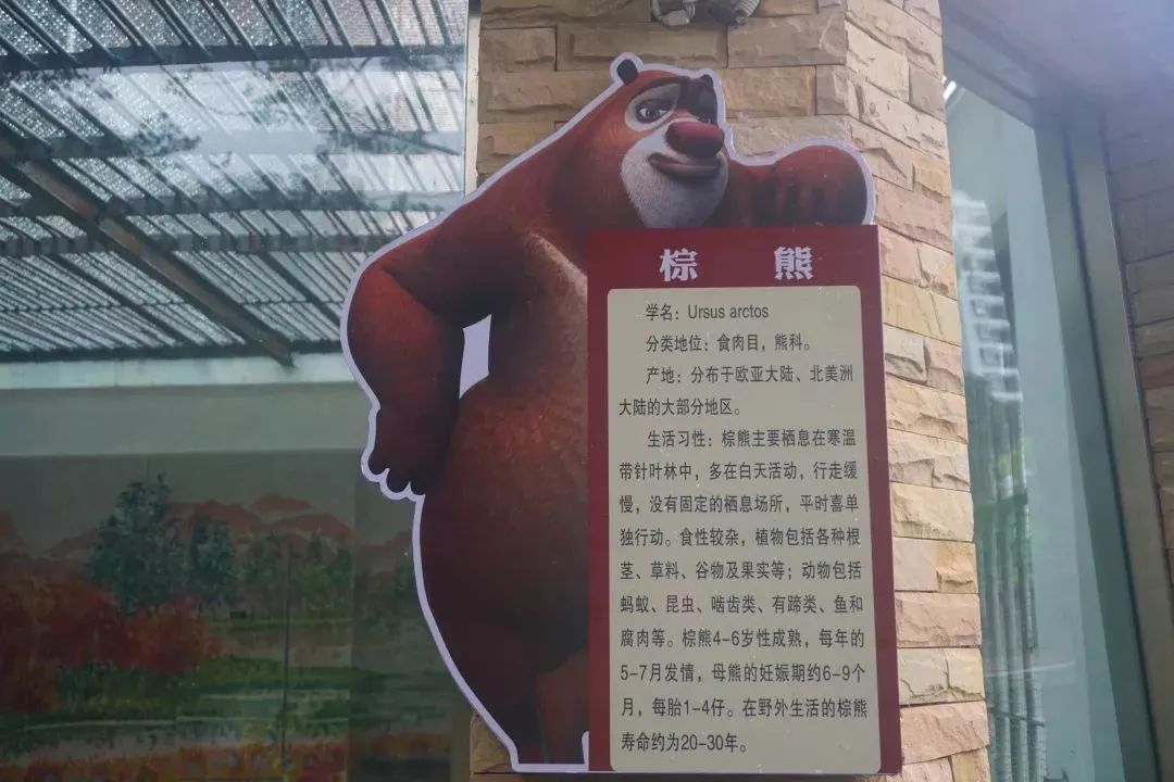 熊出没熊大熊二旅游,熊出没之熊大熊二乐园