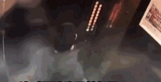 保时捷女司机的道歉到底证明什么,保时捷女司机最后怎么了