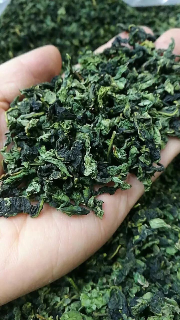 最近安溪铁观音行情,安溪铁观音秋茶火热上市