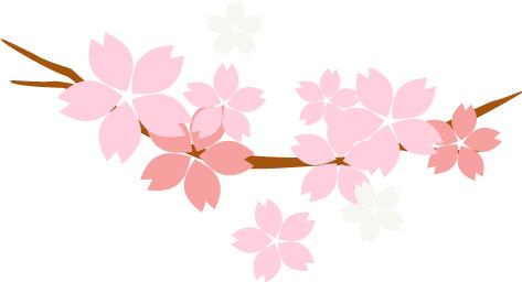 东院妇产科举办第九届妇科肿瘤腔镜治疗研讨班