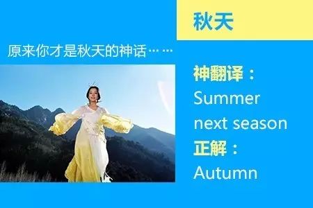 四六级神翻译,四六级翻译神评