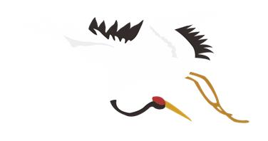 娓呴鏂囧鎶曠,娓呴寰佹枃寰佺