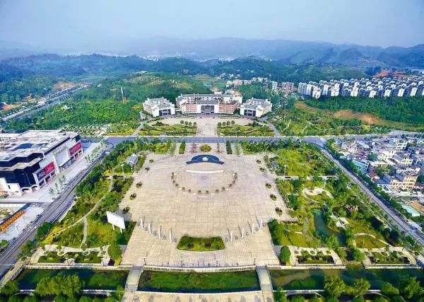 六棵银杏树,银杏树28棵300万