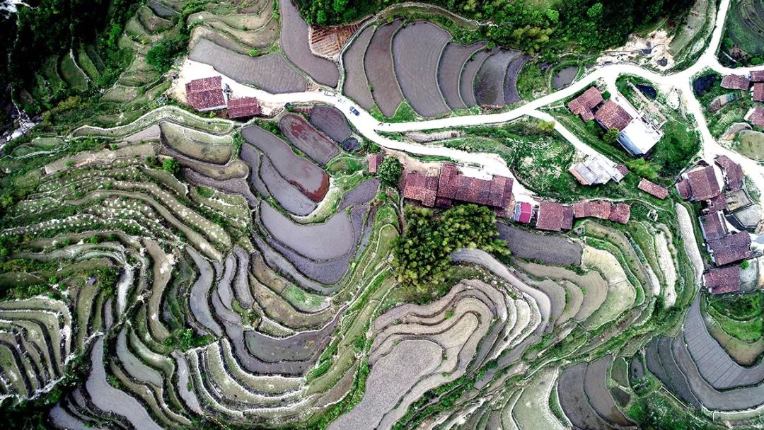 大骨头汤和排骨汤哪个补钙效果好,多喝骨头汤真的可以补钙吗