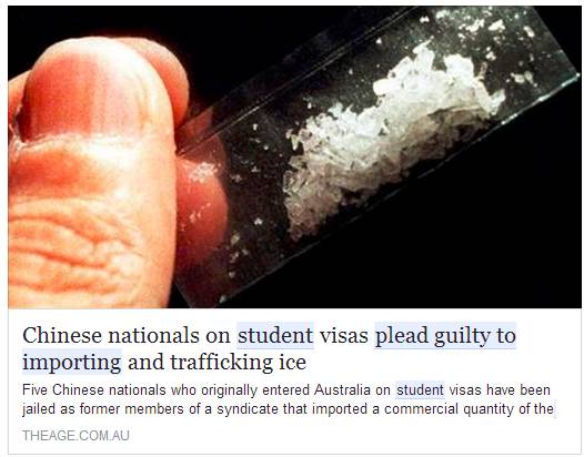 为爱情贩毒的女孩,为了毒品女孩放弃了自己