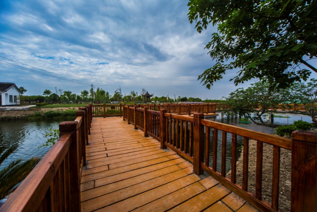 哇塞!在平湖的这个村,留住美丽有了”良策“!