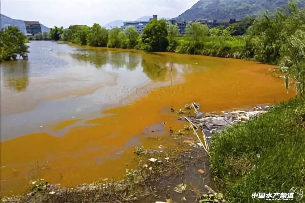 养殖水体有黄铁锈如何解决,养殖锈水处理