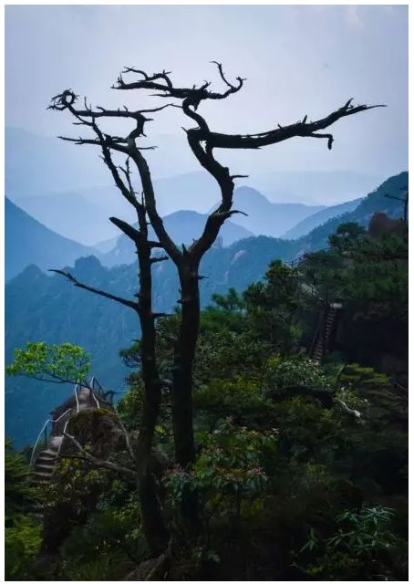 一周全国景区网络评价报告,三清山旅游评价