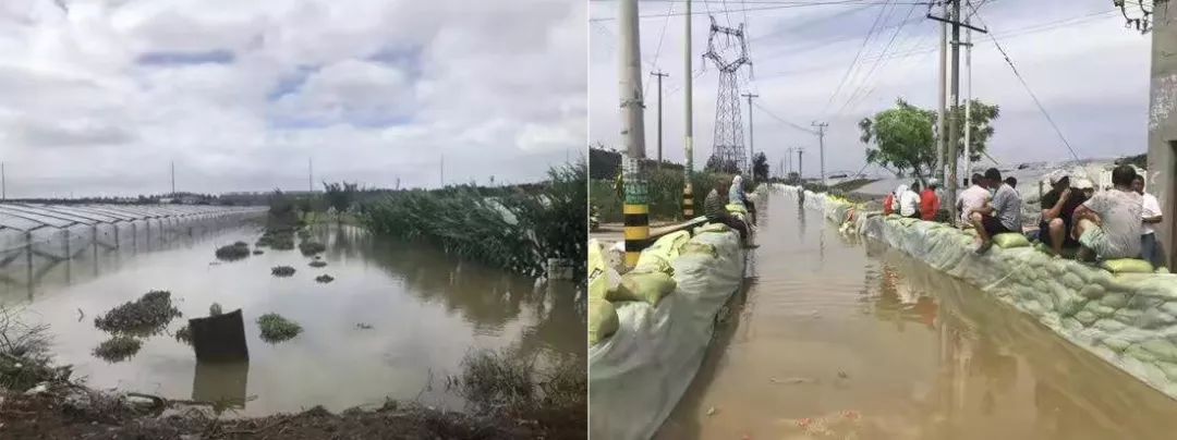 寿光最新发展消息,最近寿光怎么样了