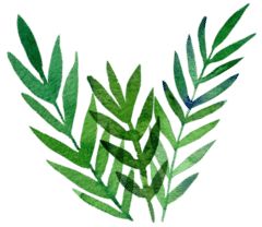 长春市中医院清明节期间专家出诊信息