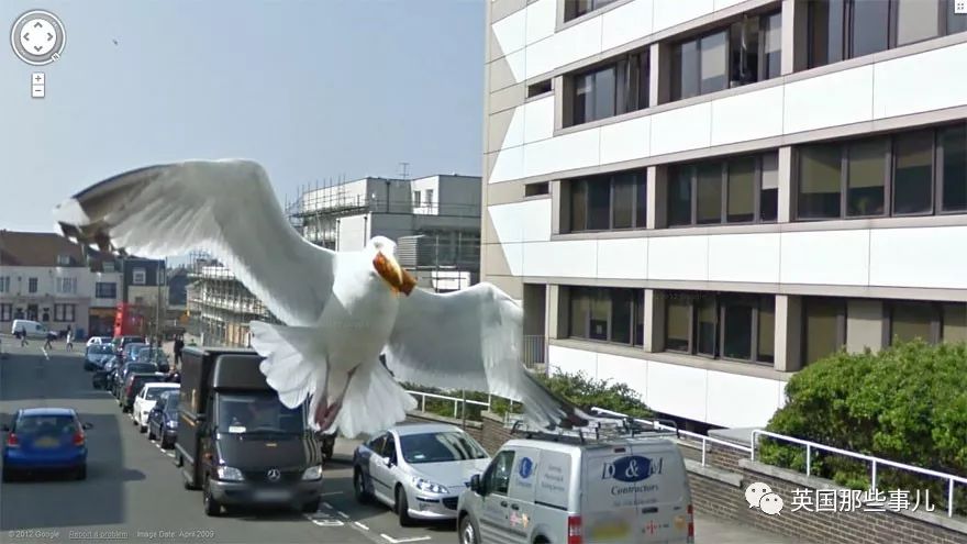 通过谷歌街景看到自己被绿的证据,谷歌街景看到自己绿的证据