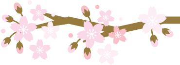 三八妇女节荆州,三八国际妇女节巾帼英雄受表彰