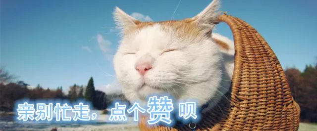 2080支机器人大赛队伍齐聚项城,超两千人报名的赛事