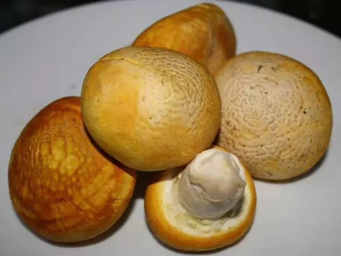 消费扶贫年货大供应,消费扶贫年货