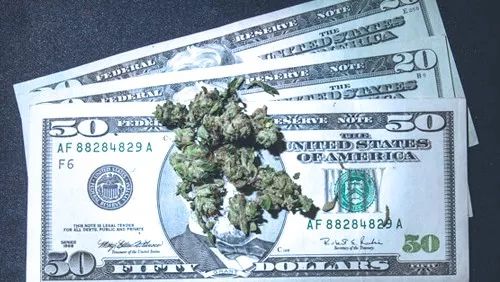 消遣类*麻大**即将合法化，加拿大人害怕了吗？