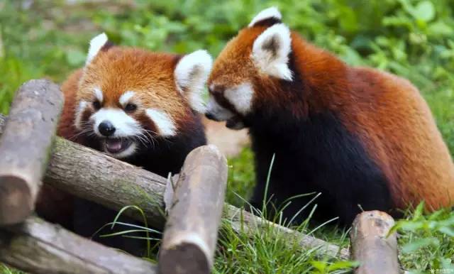 最全的贵州攻略,最新旅游攻略必去景点