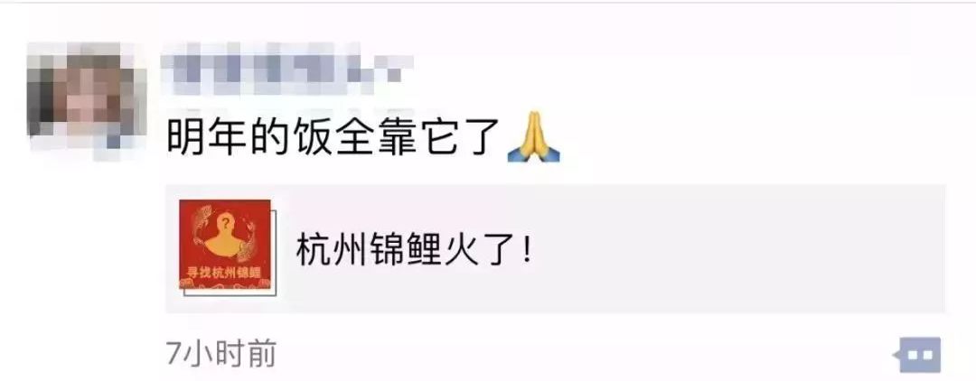 中国锦鲤为什么火了,锦鲤为什么火了